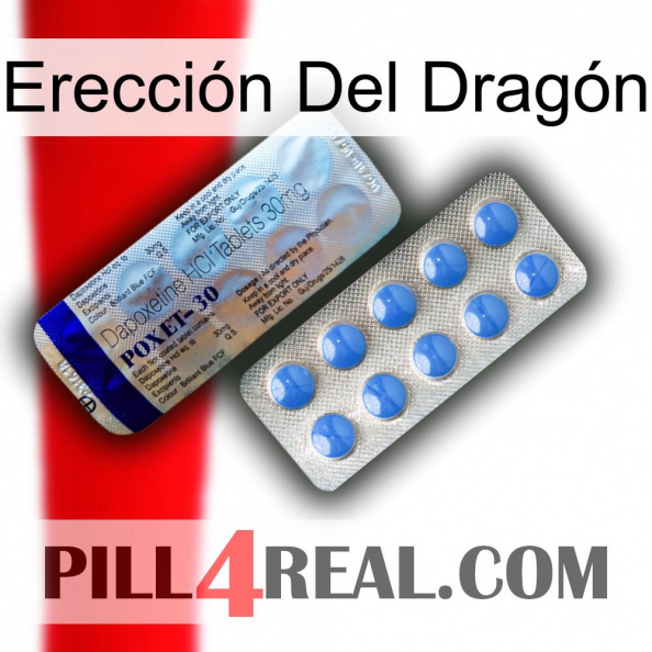 Erección Del Dragón 39.jpg